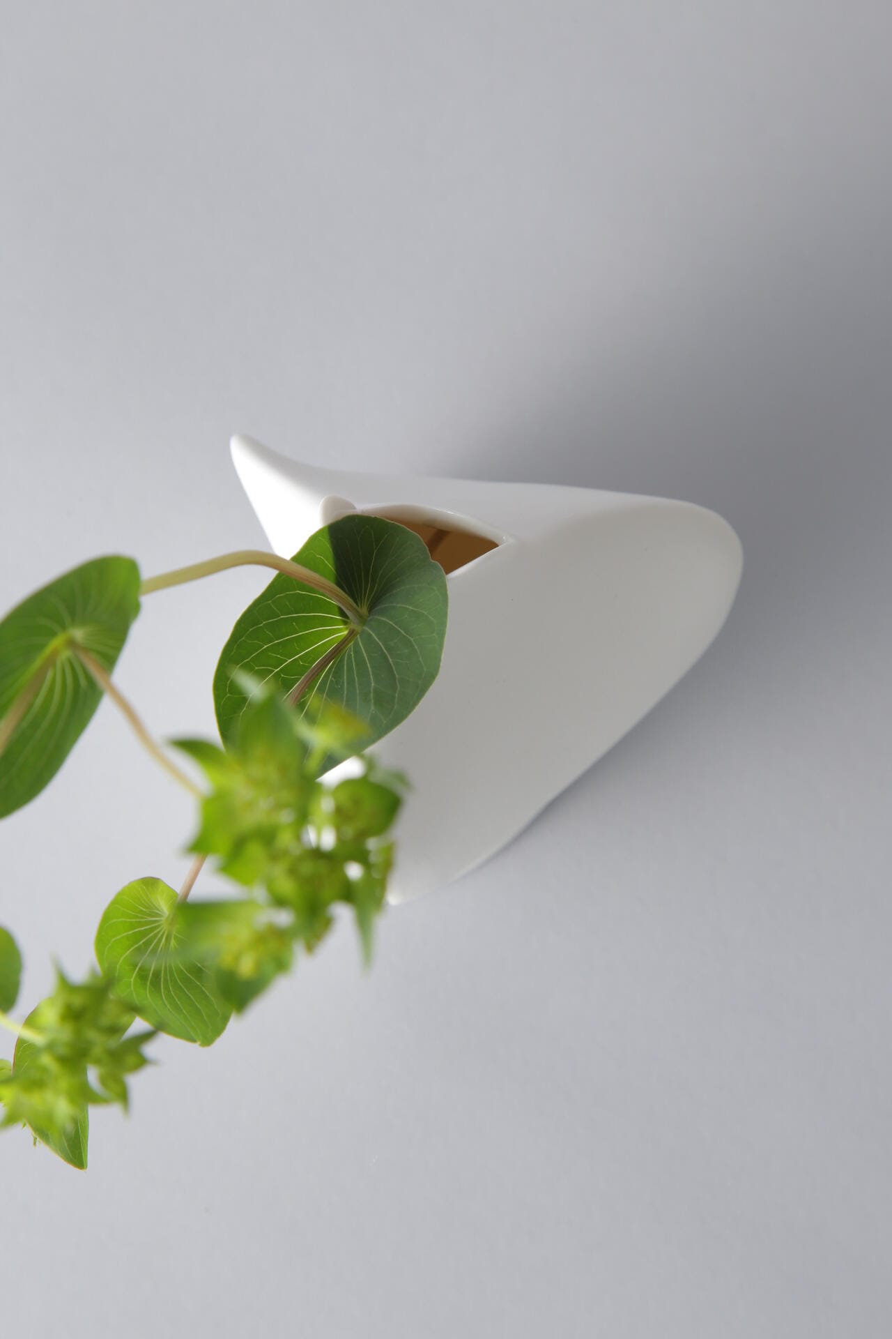 【Gg】Flower Vase by Roos Van de Velde L
