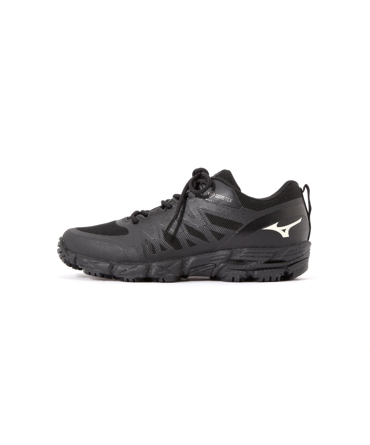 V2 Gore-Tex HIKING SHOES