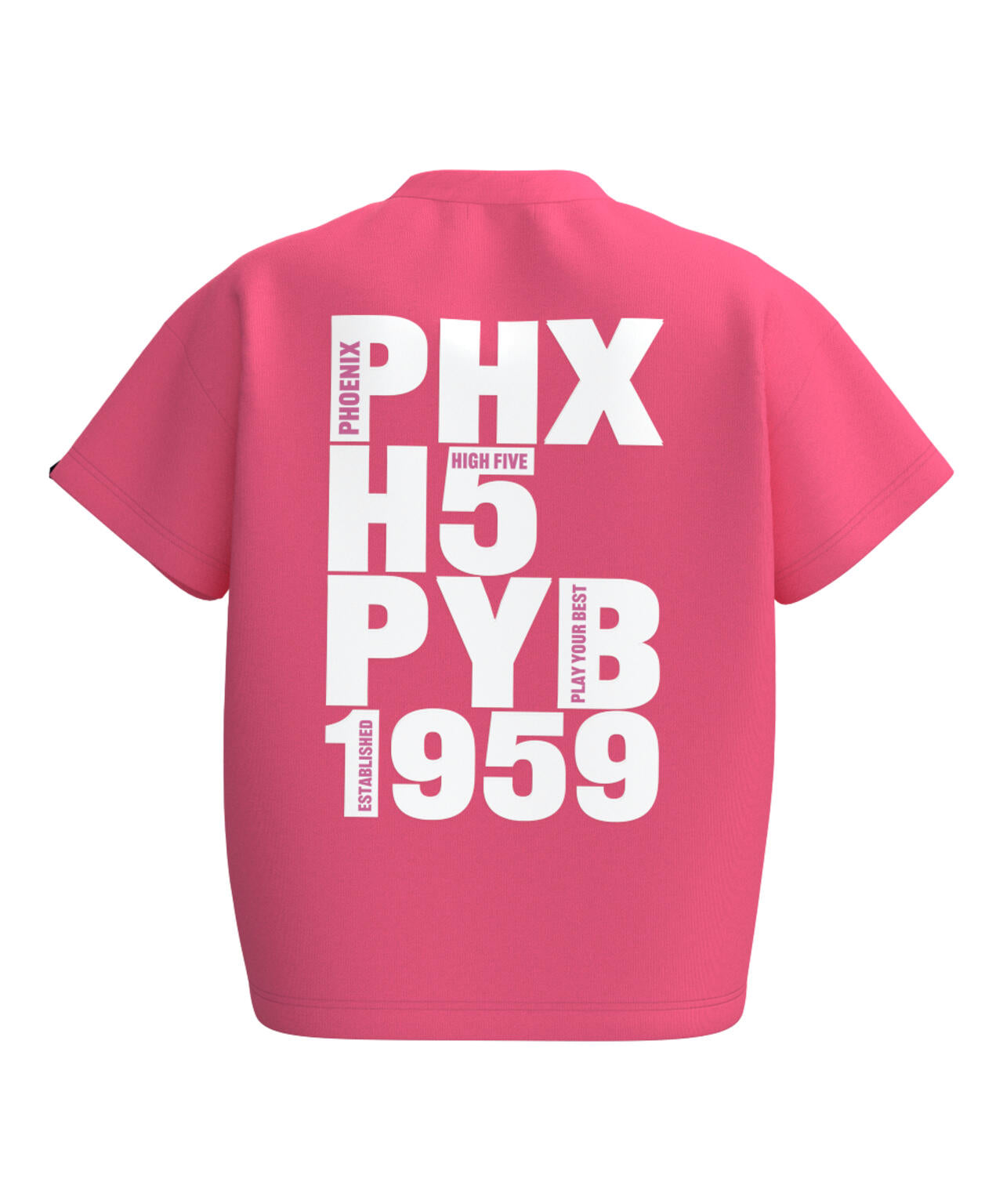【PING APPAREL】TC天竺 半袖Tシャツ <LADIES LINE><NATIVE> (LADIES)