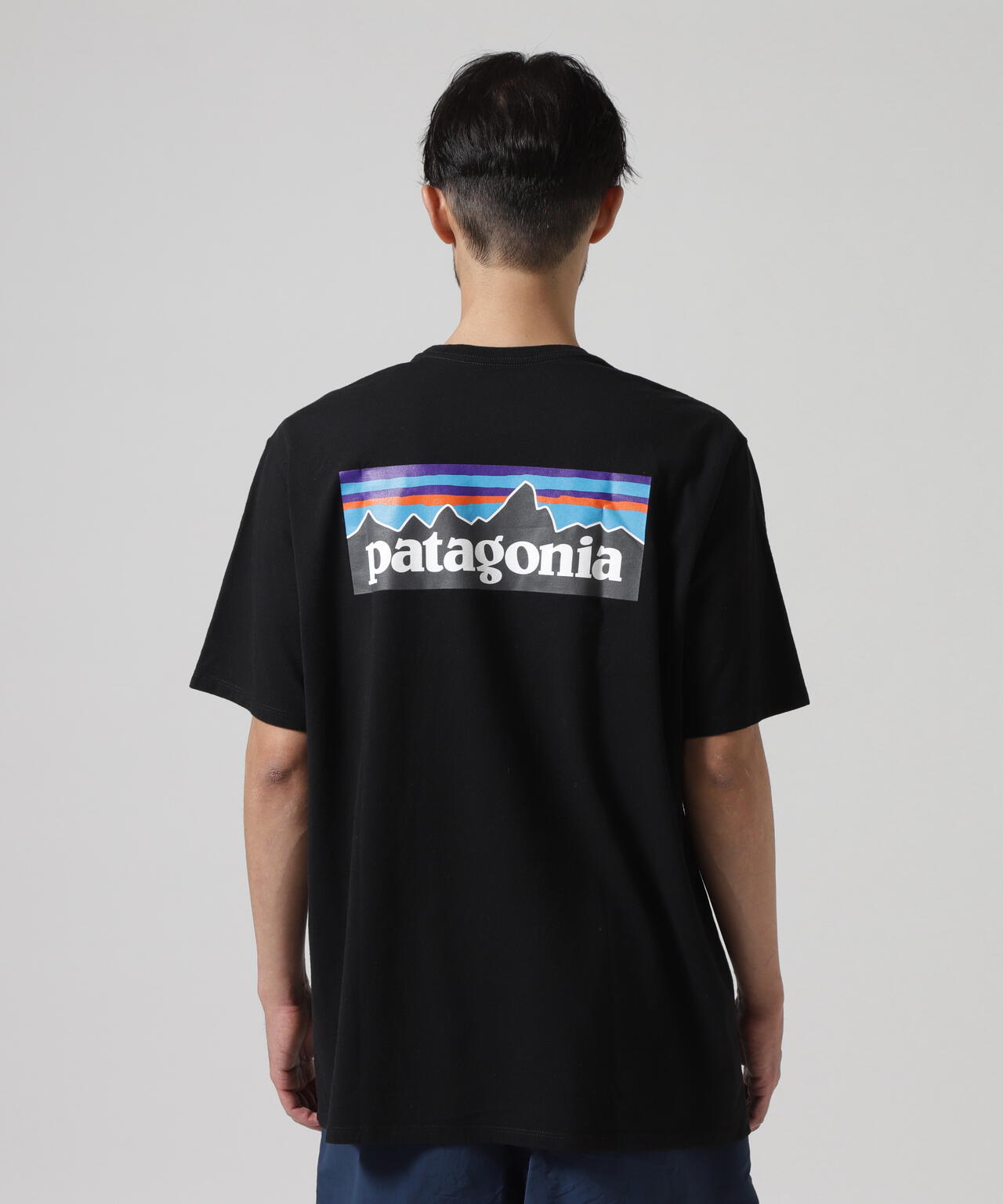 Patagonia/パタゴニア メンズ・P-6ロゴ・レスポンシビリティー