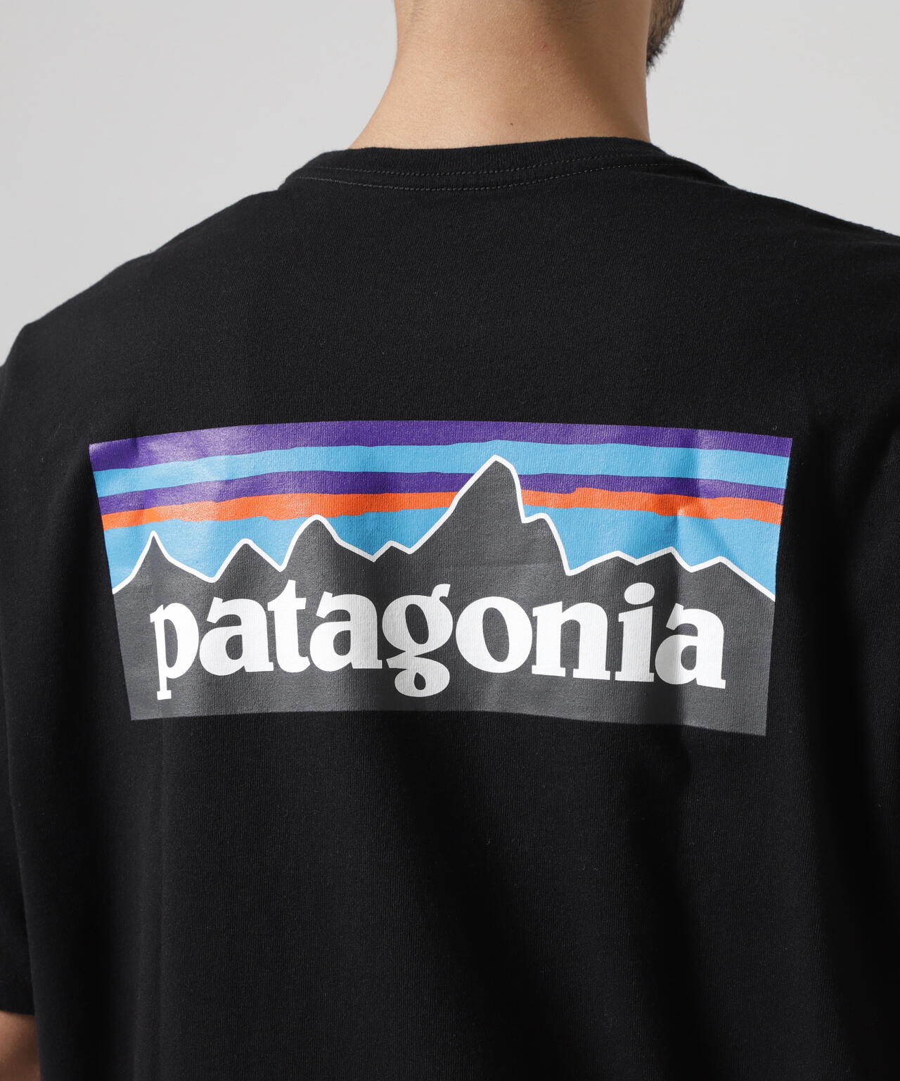 Patagonia/パタゴニア メンズ・P-6ロゴ・レスポンシビリティー