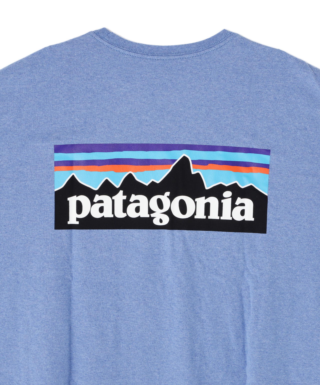Patagonia/パタゴニア メンズ・P-6ロゴ・レスポンシビリティー