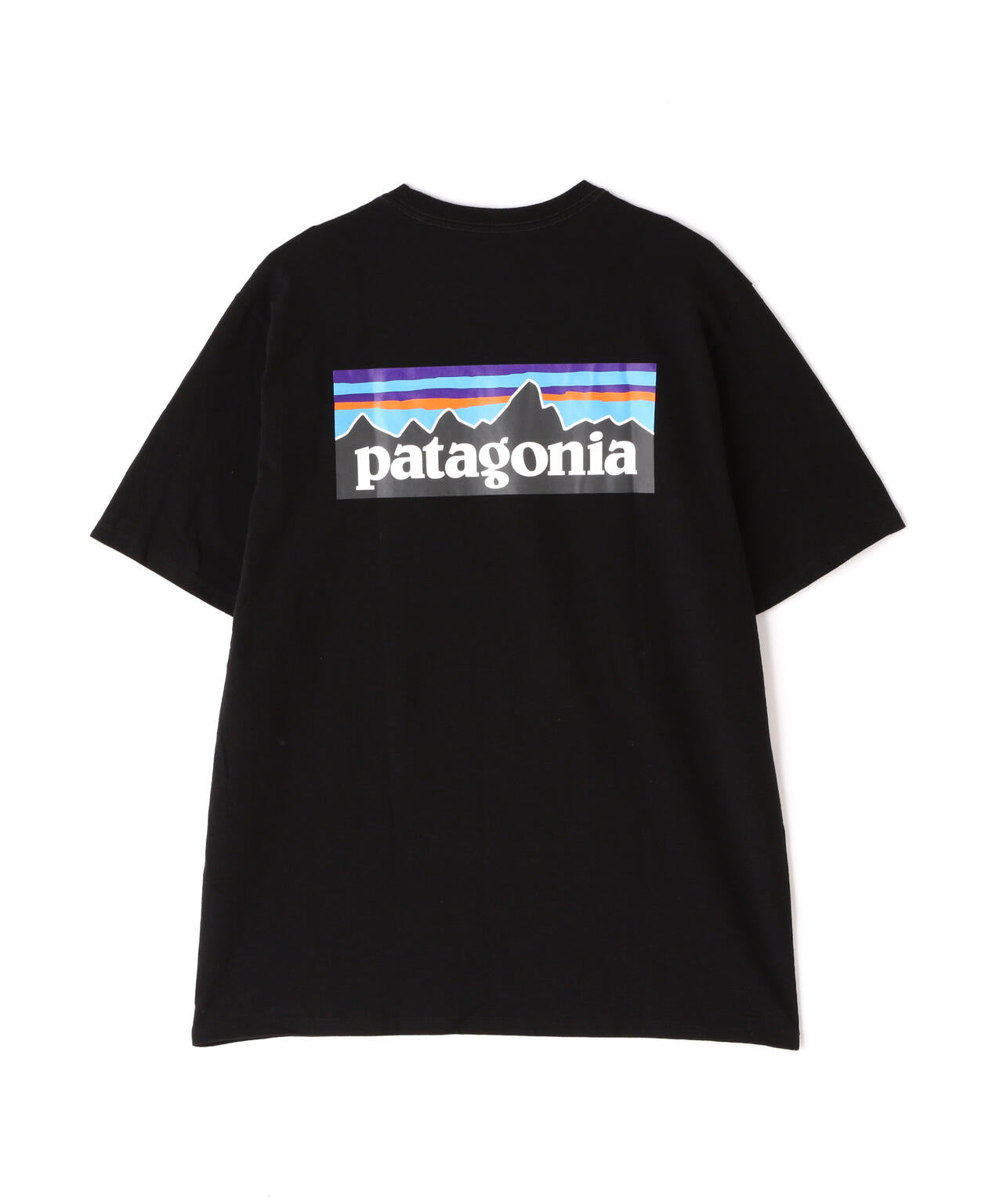 Patagonia/パタゴニア メンズ・P-6ロゴ・レスポンシビリティー 38504