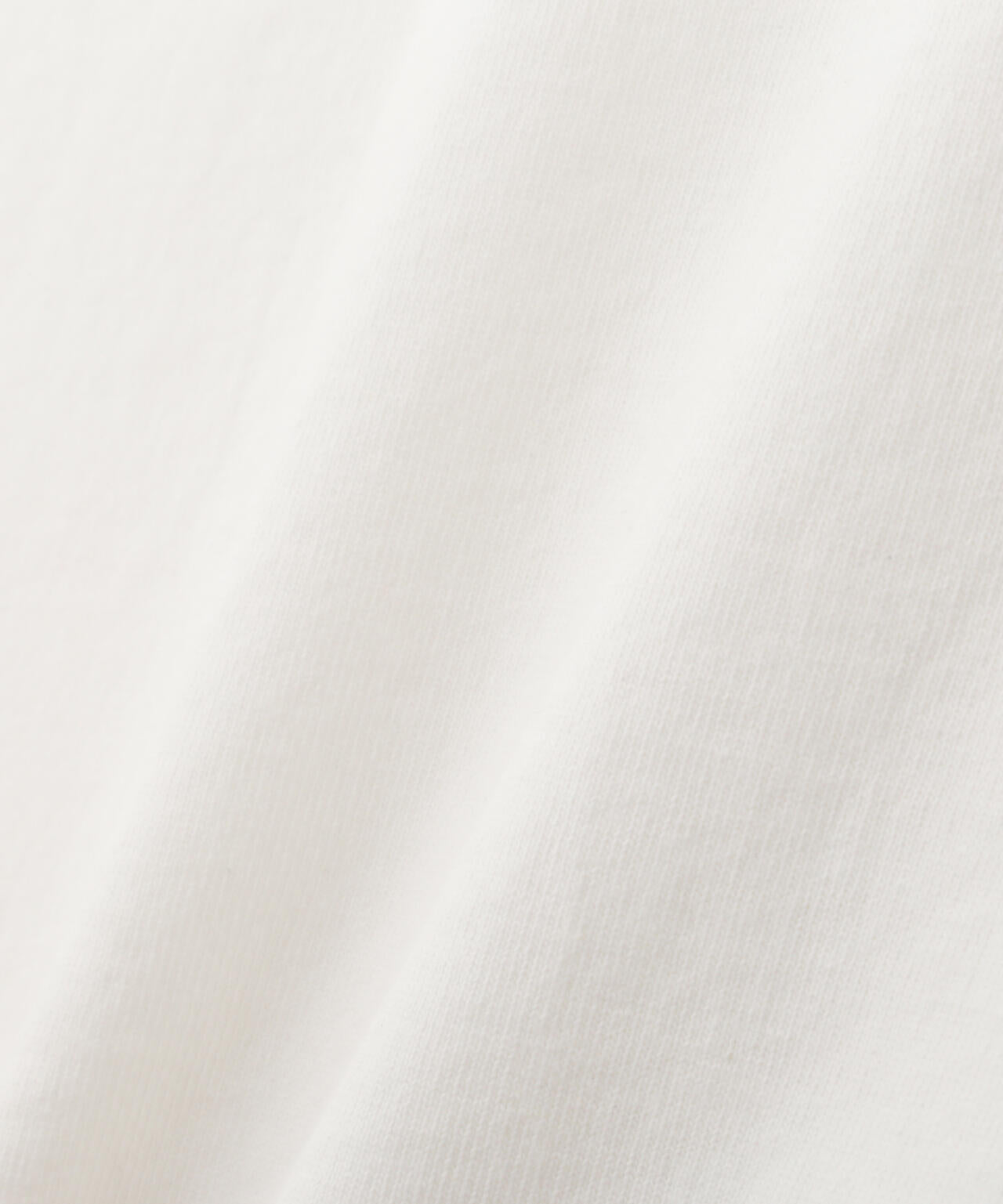 HENLEY TーSHIRT "CREST DRAGON EMB"/刺繍ヘンリーTシャツ "クレスト ドラゴン"