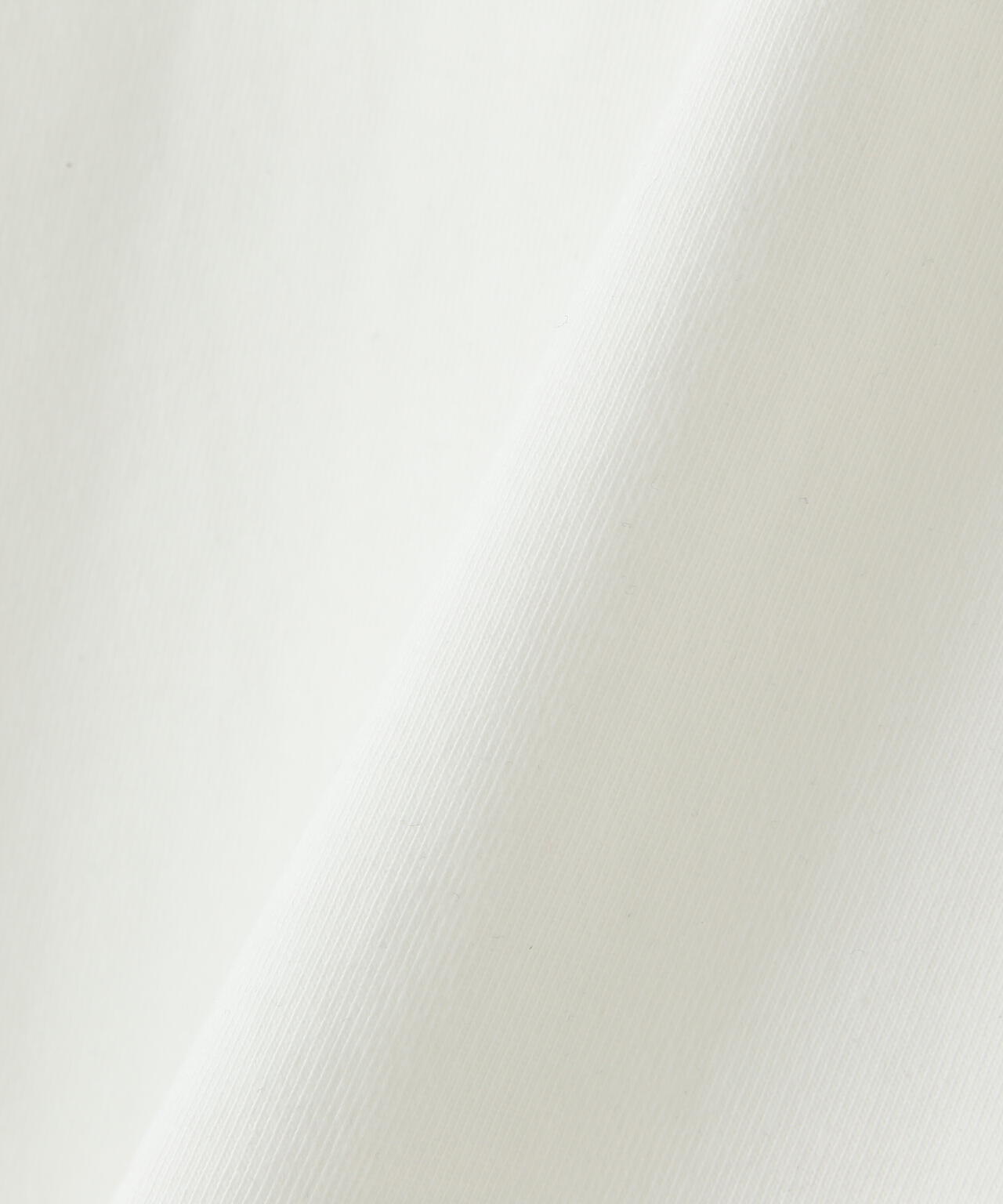 BASIC HEAVY WEIGHT L/S T-SHIRT / ベーシック ヘビーウェイト 長袖 Tシャツ / AVIREX /
