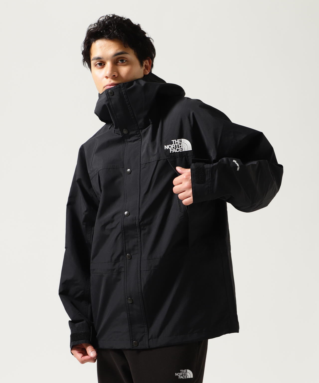 THE NORTH FACE/ザ・ノースフェイス/MOUNTAIN LIGHT JACKET