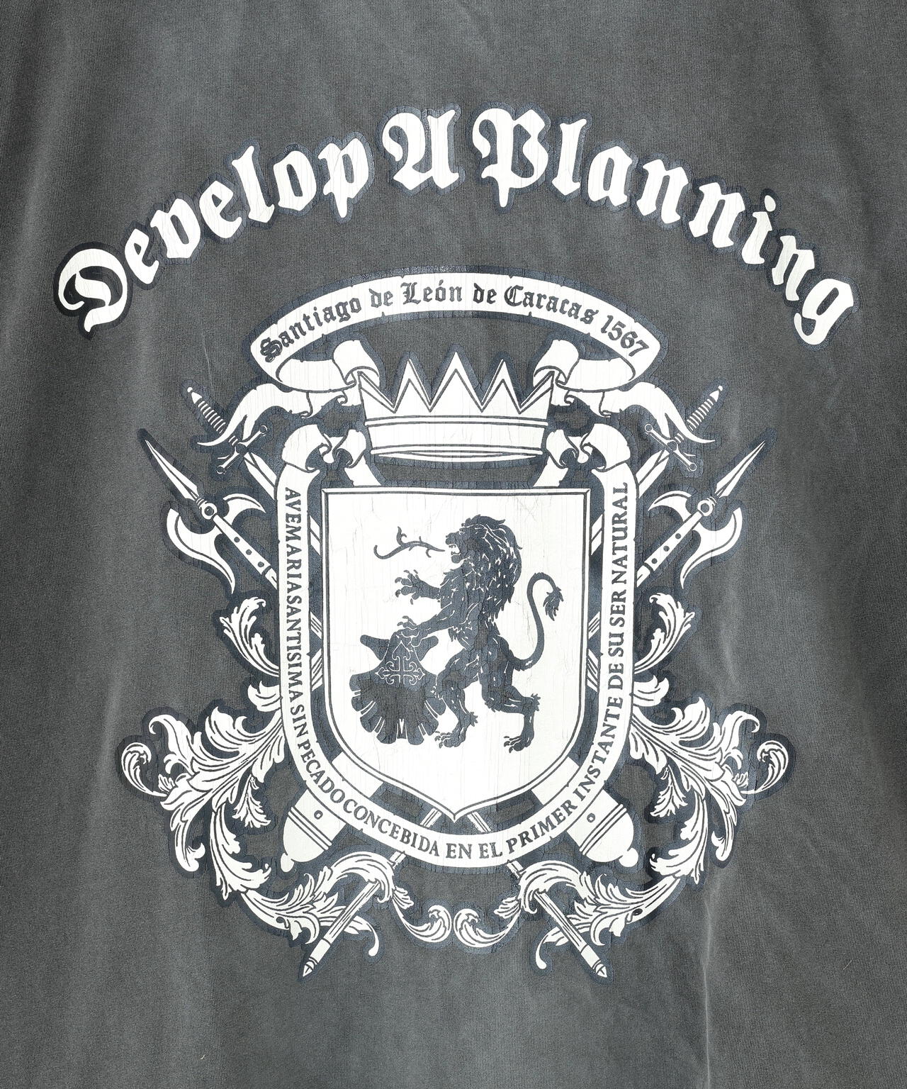 DankeSchon/ダンケシェーン/PIGMENT EMBLEM S/S TEE