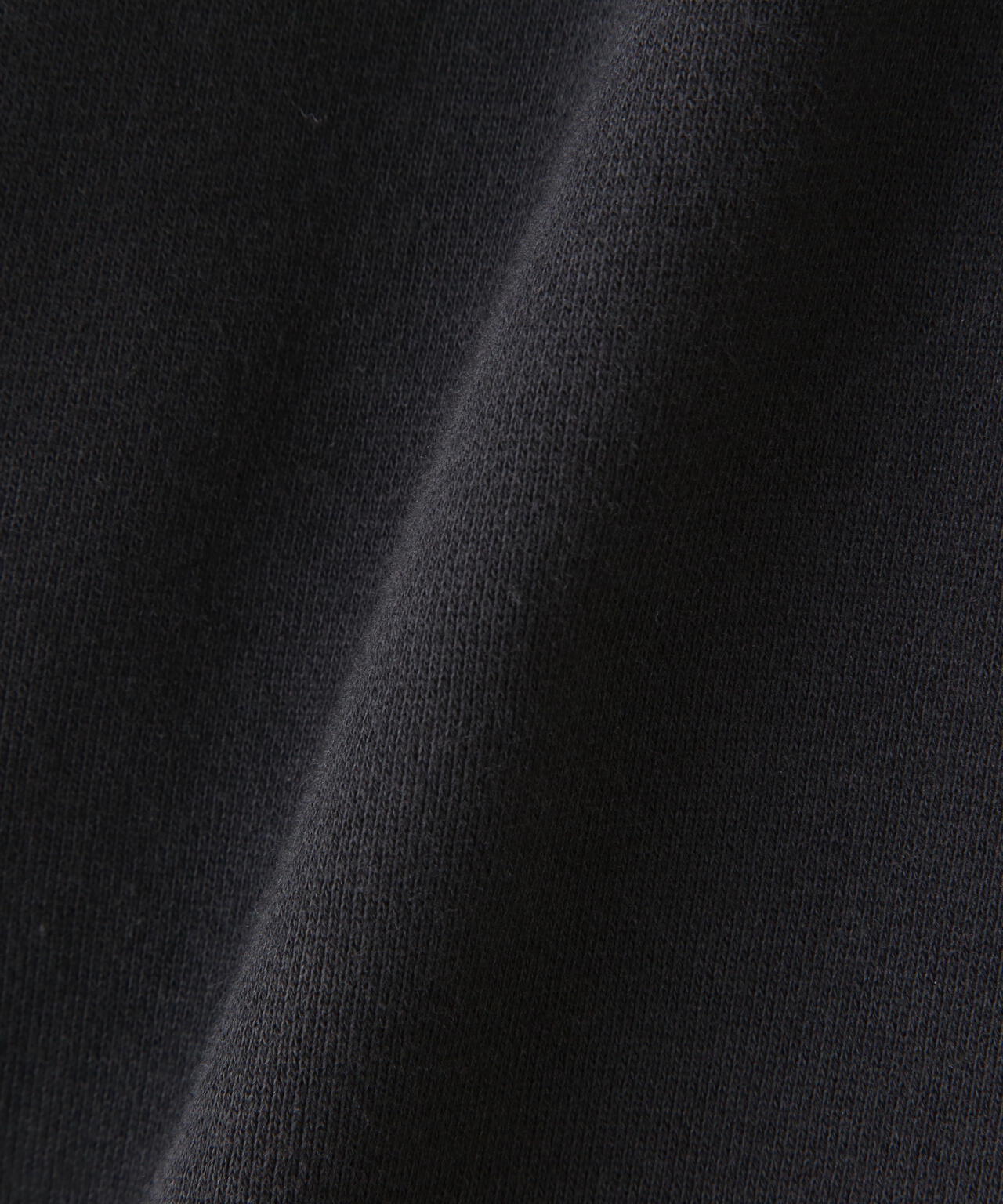 THE NORTH FACE (ザ・ノースフェイス)Reaview FullZio Hoodie リアビューフルジップフーディ