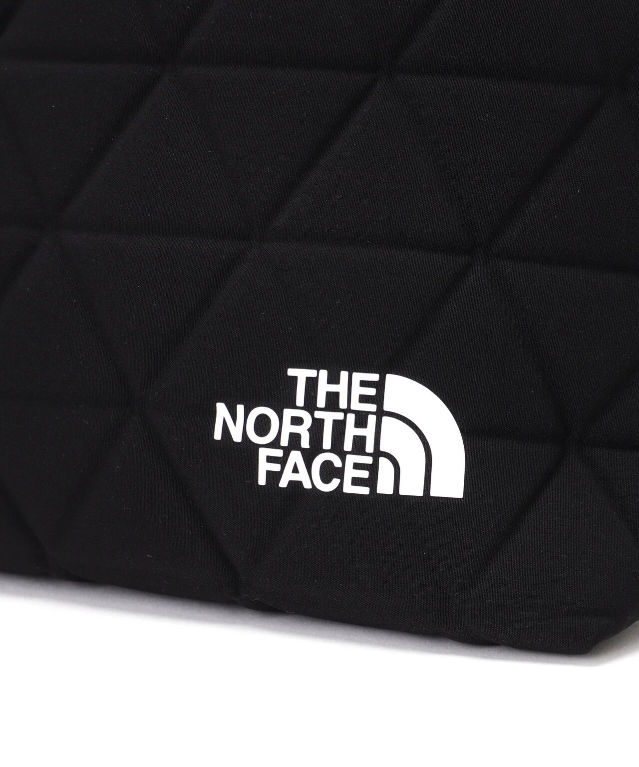 THE NORTH FACE (ザ・ノースフェイス)Geoface Box Tote