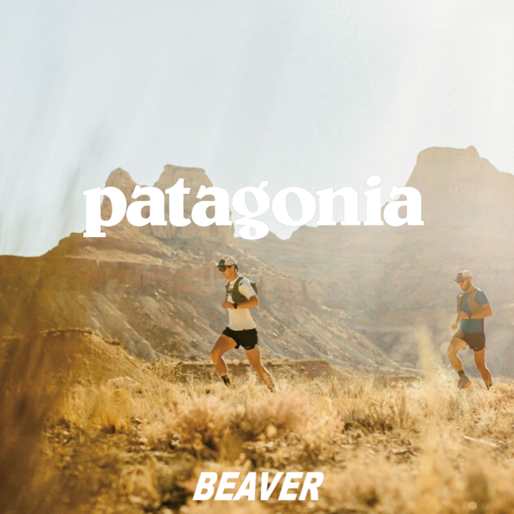 Patagonia 新作入荷！｜BEAVER｜