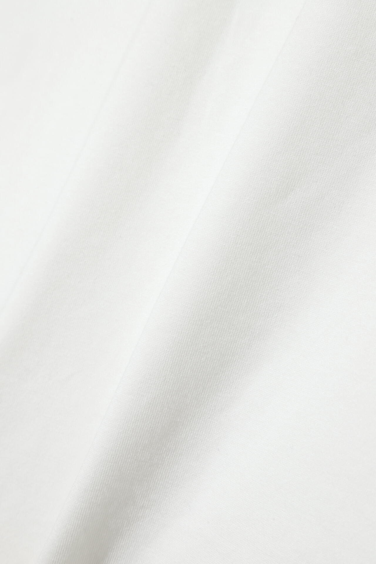 プレーティング天竺Ｔシャツ (MENS)