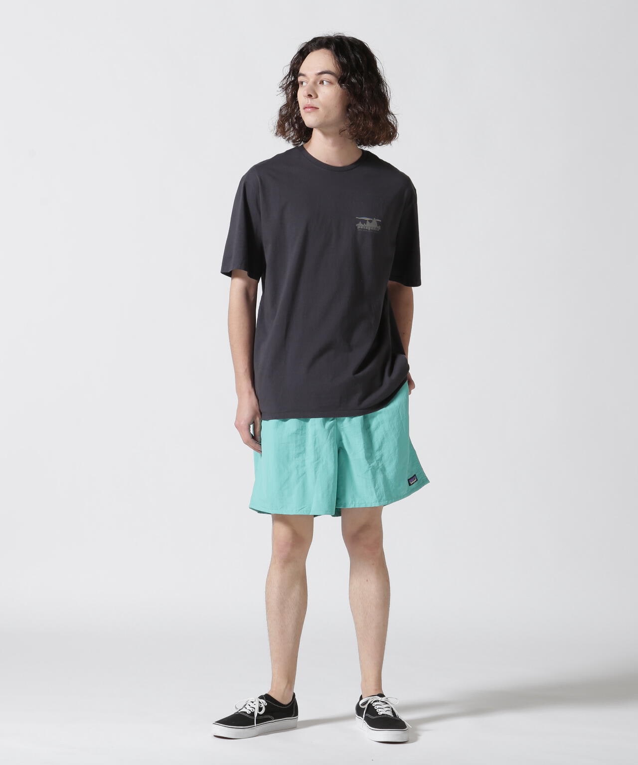 Patagonia/パタゴニア　メンズ・'73 スカイライン・オーガニック・Tシャツ 37534