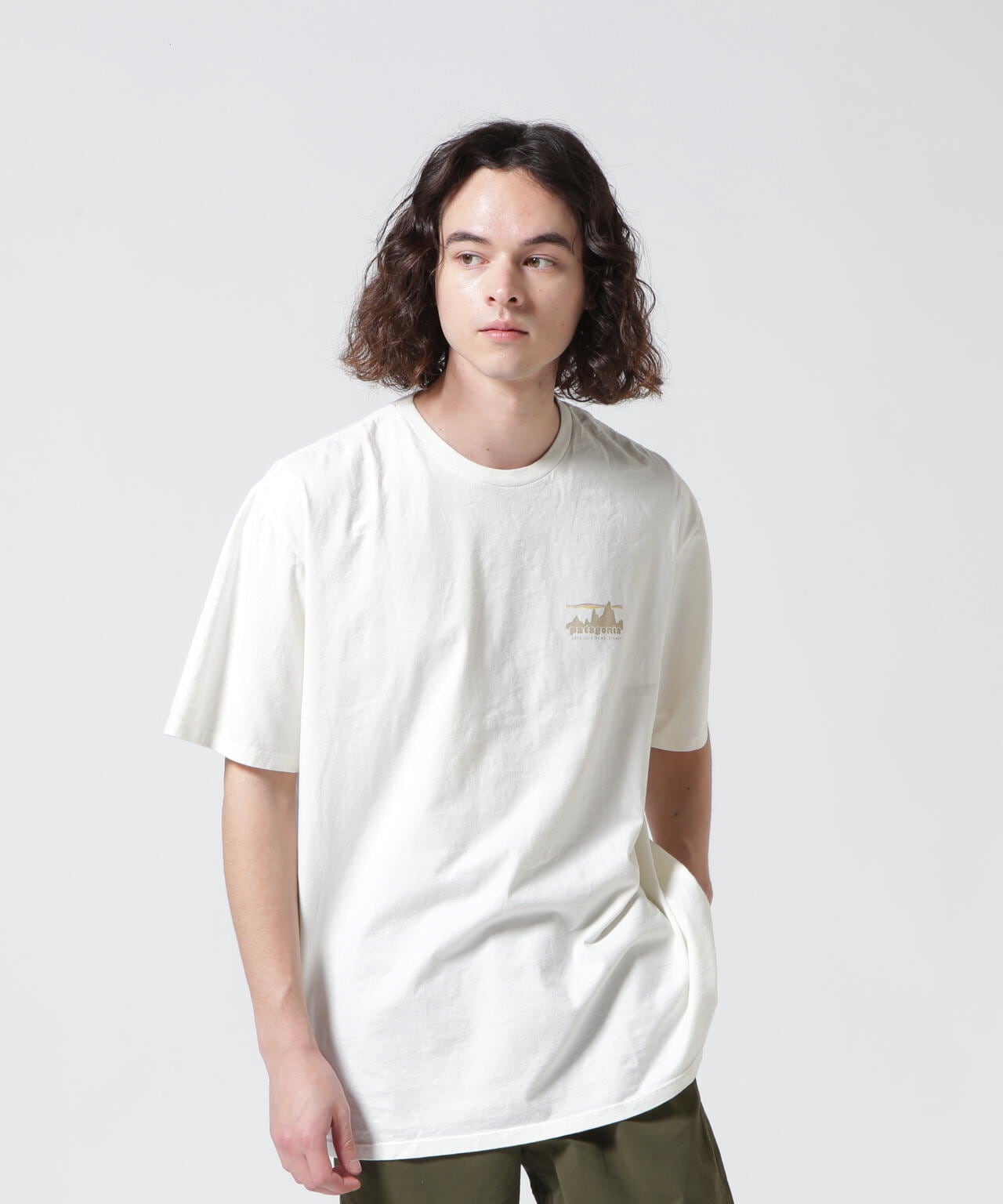 Patagonia/パタゴニア　メンズ・'73 スカイライン・オーガニック・Tシャツ 37534