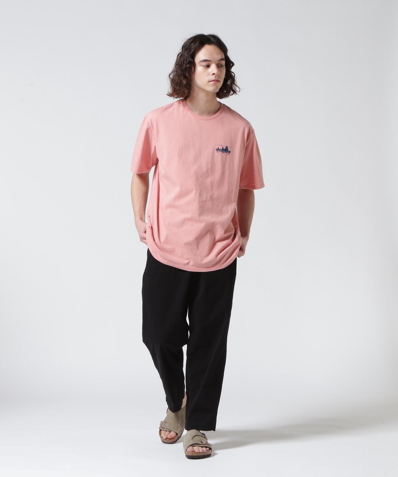 Patagonia/パタゴニア　メンズ・'73 スカイライン・オーガニック・Tシャツ 37534
