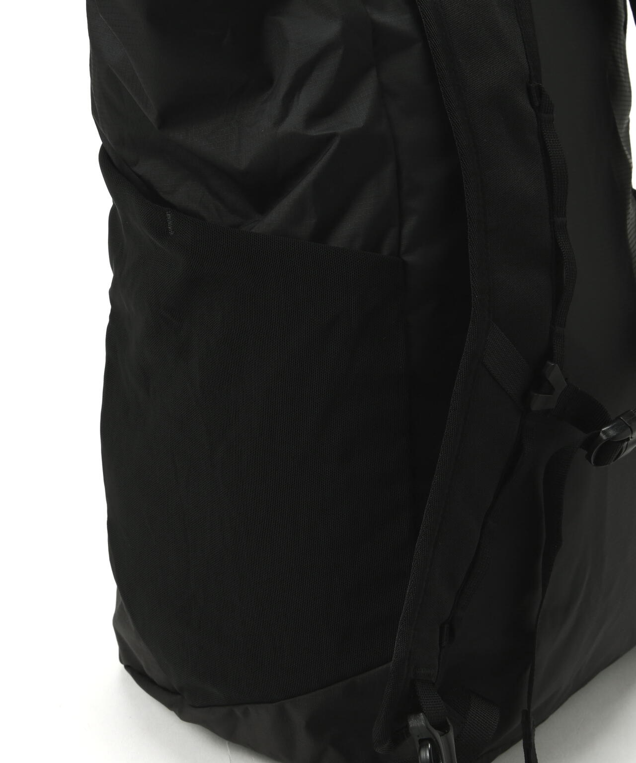 Patagonia/パタゴニア　テラヴィア・トート・パック 24L