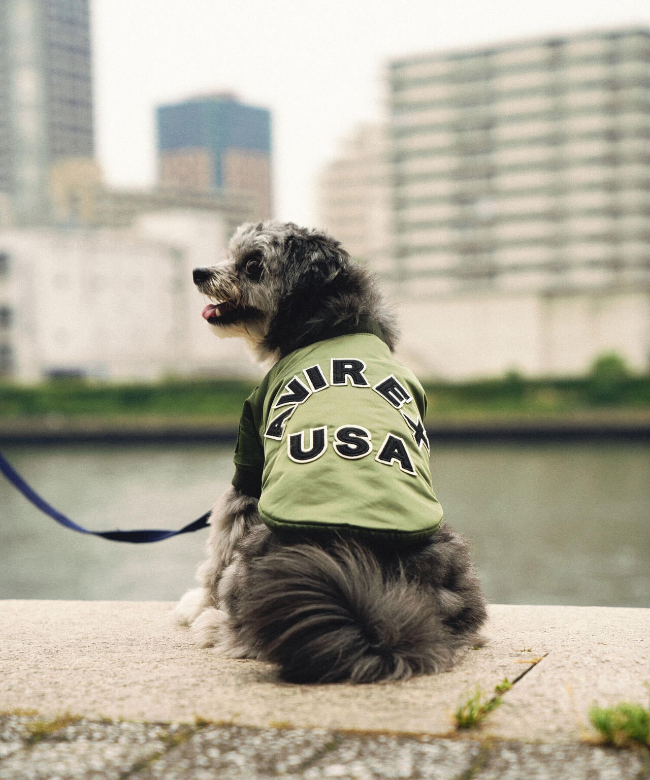 《DOG WEAR/ドッグ ウェア》MA-1 LOGO /ドックウェア　エムエーワン
