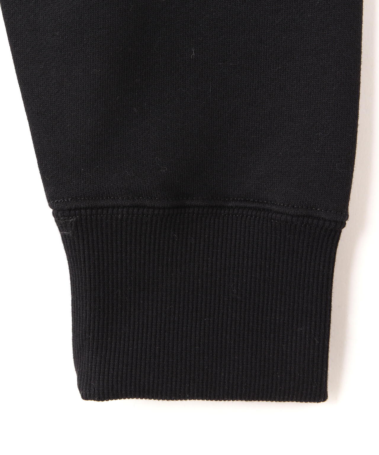 THE NORTH FACE (ザ・ノース・フェイス) Rearview FullZip Hoodie