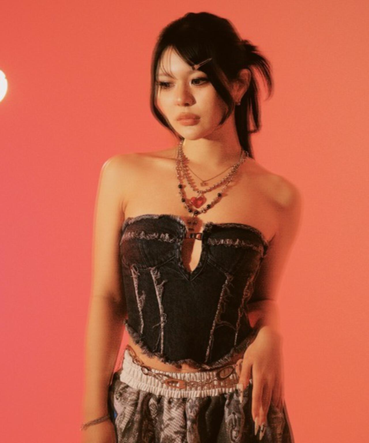 MITSUKI/ミツキ/DENIM BISTIER TOP